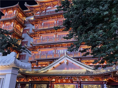 跨城旅游，深圳广州95场是最佳选择