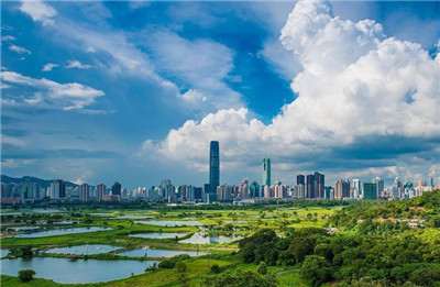 深圳不同地区高端资源公司实力对比及分析